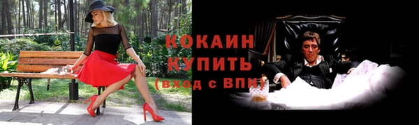 соль ск Алексеевка